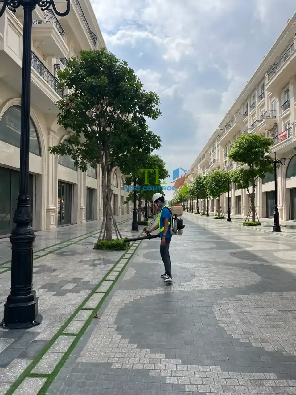 Cam kết chất lượng dịch vụ diệt mối Trần Long tại phường Bình Phú