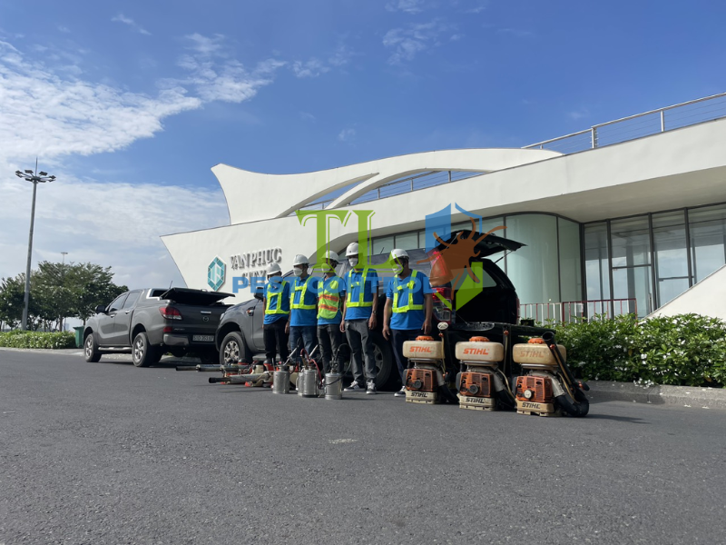 Dịch vụ diệt mối định kỳ tại Trần Long