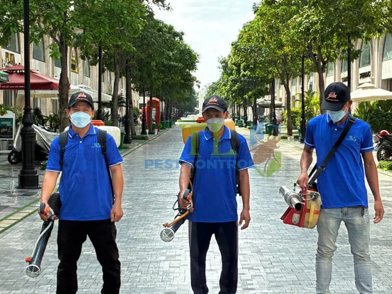 Tiêu chí chọn đơn vị diệt mối tại biệt thự