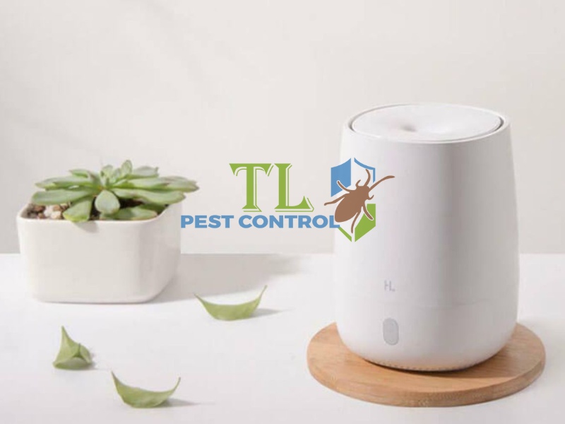 Máy xông tinh dầu