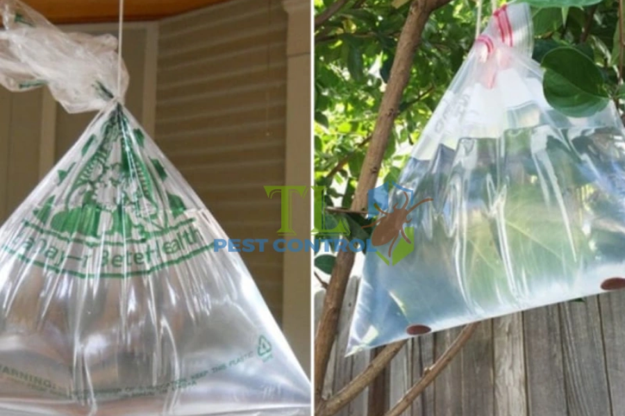 Treo túi nước trong suốt đuổi ruồi 