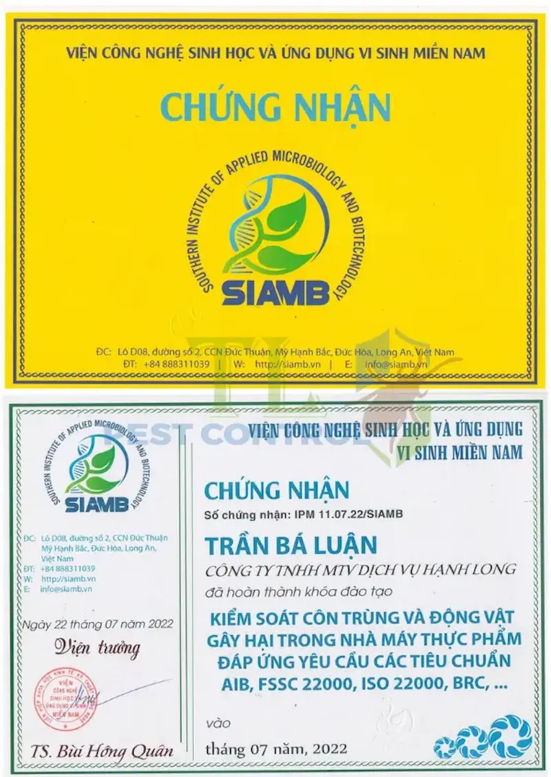 diệt mối giá rẻ