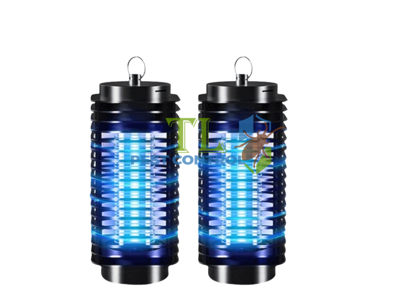 Các cách diệt kiến ba khoang