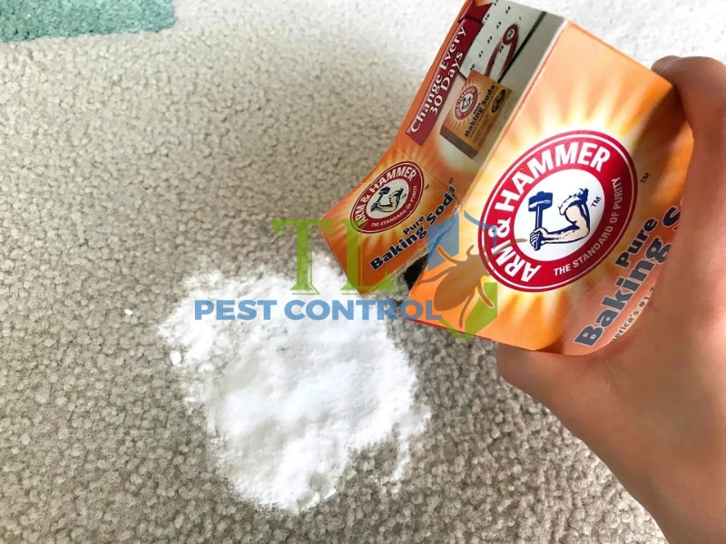 cách diệt mối trong tủ quần áo