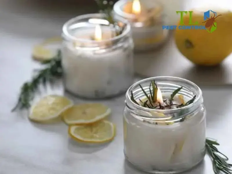cách đuổi muỗi bằng chanh