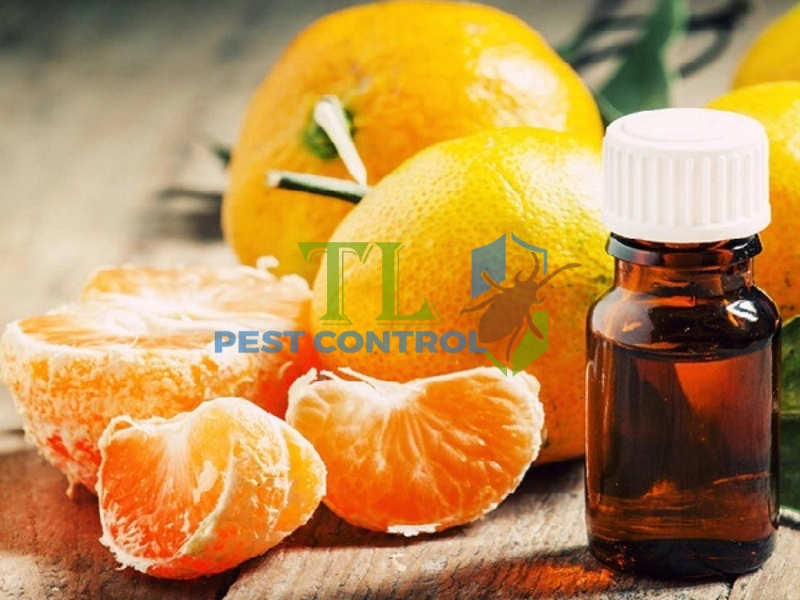 cách diệt mối trong tủ quần áo