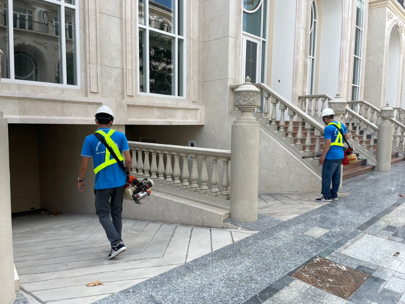 Trần Long là công ty diệt mối uy tín hàng đầu tại Phường Thới An