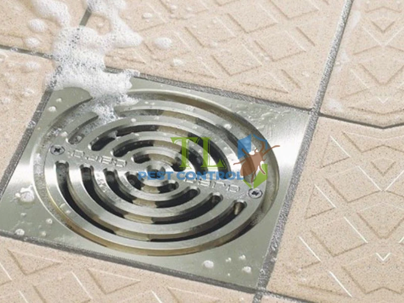 Vệ sinh cống thoát nước thường xuyên Vệ sinh cống thoát nước thường xuyên