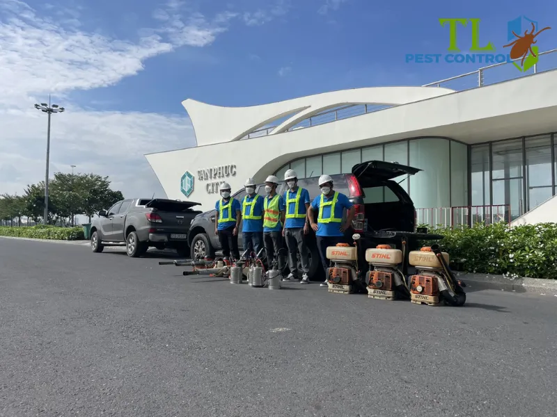 Dịch vụ diệt muỗi an toàn chuyên nghiệp Trần Long