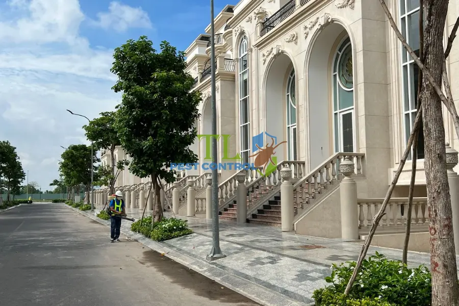 Thời Điểm Tốt Để Phun Thuốc Diệt Muỗi Hiệu Quả