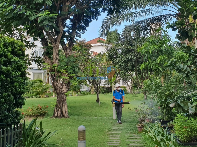 Hệ thống TermX Kit 100m