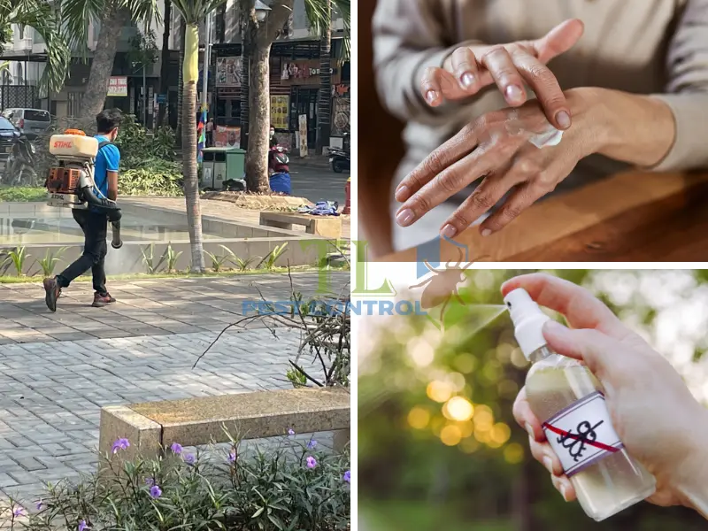 Các cách kiểm soát muỗi trưởng thành
