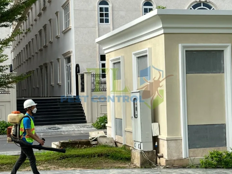 diệt mối tủ quần áo 