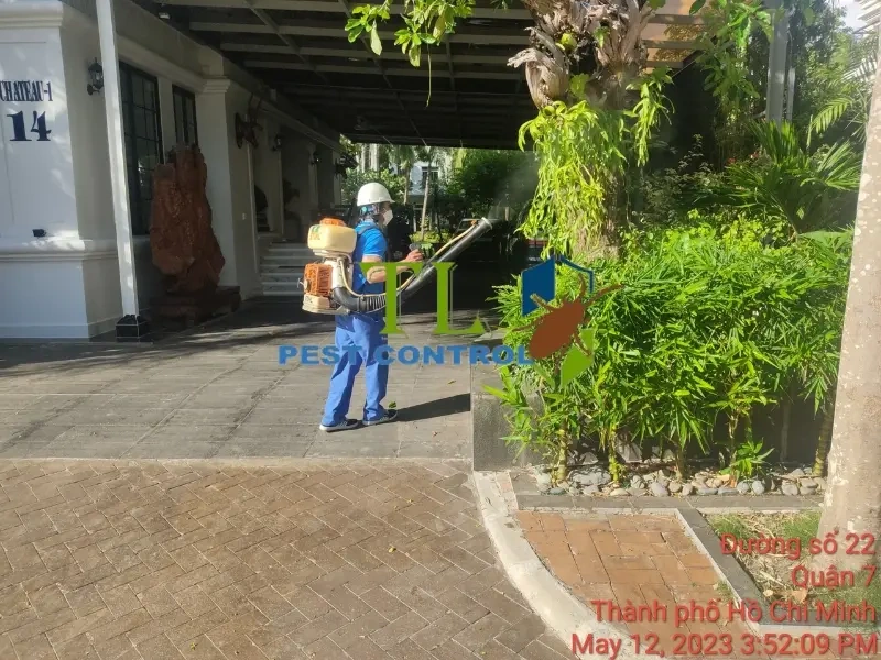 diệt côn trùng quận 6 giá rẻ 