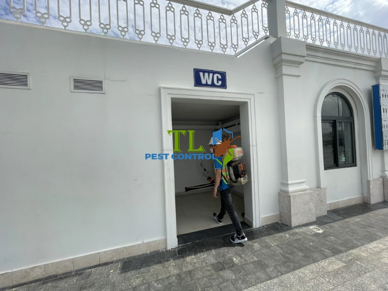 giá dịch vụ phun thuốc diệt muỗi