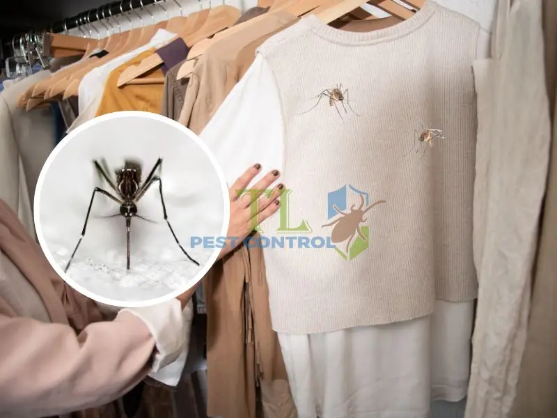 diệt muỗi trong tủ quần áo