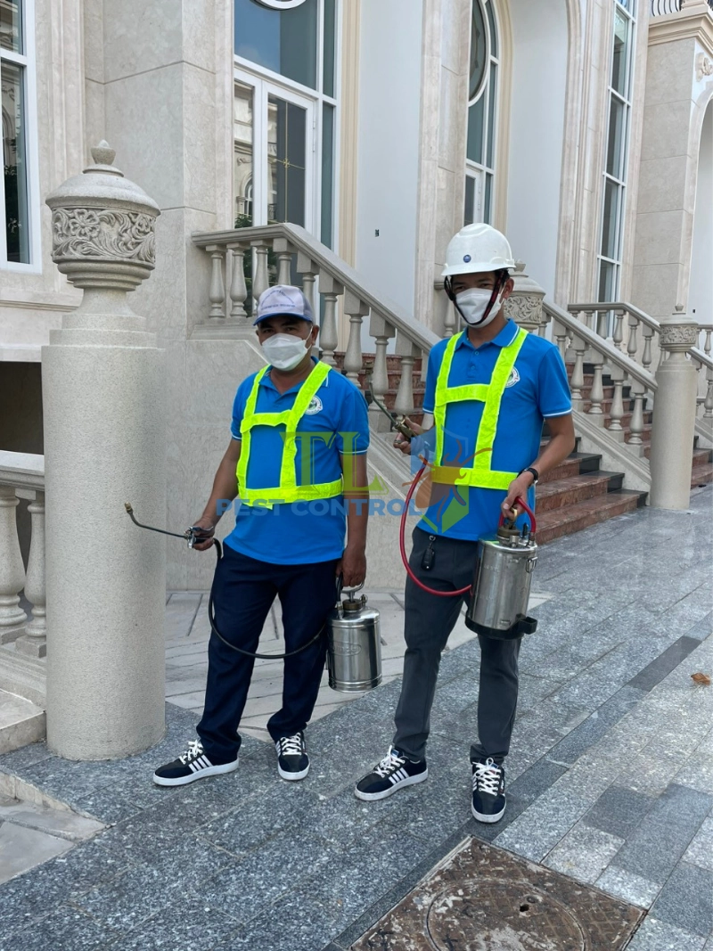 Quy trình diệt mối ghe tàu chuyên nghiệp tại Trần Long