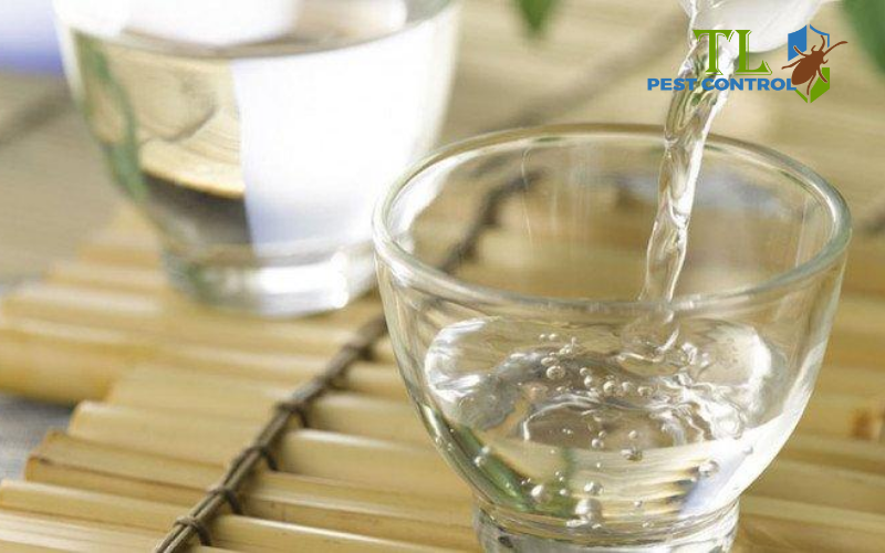 Diệt nấm mốc bằng dung dịch giấm trắng pha loãng