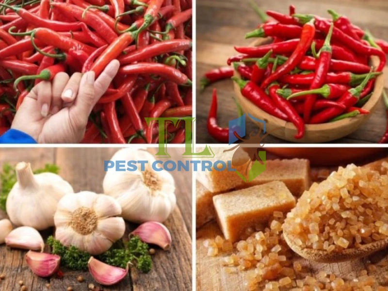 diệt mối trong tủ bếp