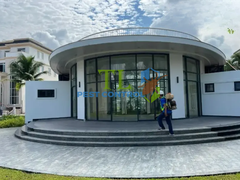 Quy trình diệt mối chuyên nghiệp tại phường Bình Đông