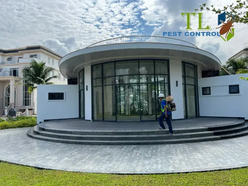 Trần Long địa chỉ diệt mối tại nhà tận gốc uy tín, chuyên nghiệp