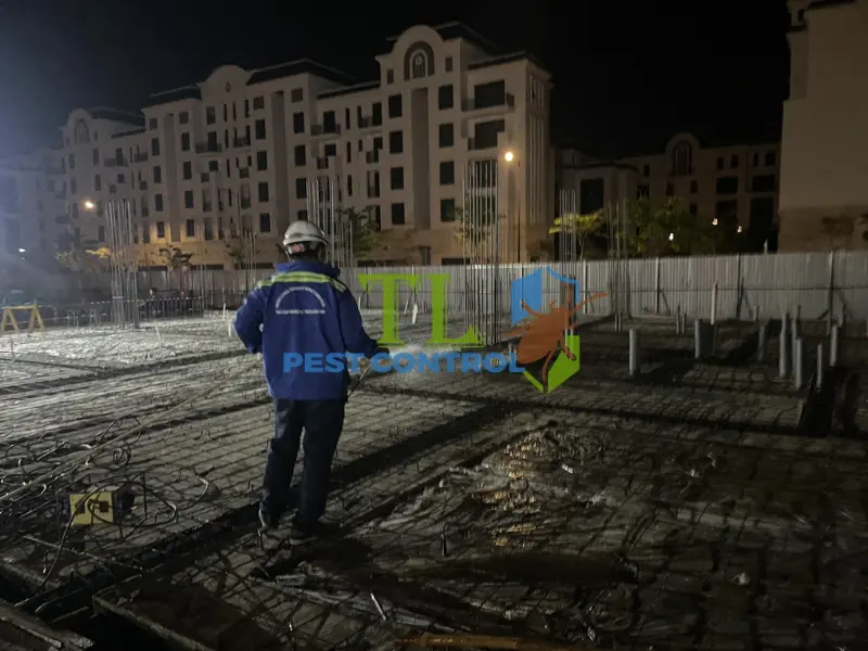 Dịch vụ diệt muỗi uy tín Trần Long
