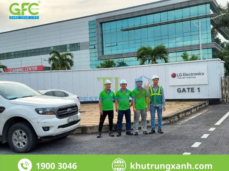 công ty diệt muỗi