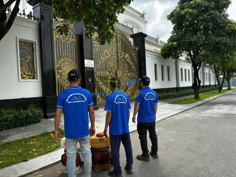 thuốc diệt kiến an toàn cho trẻ sơ sinh