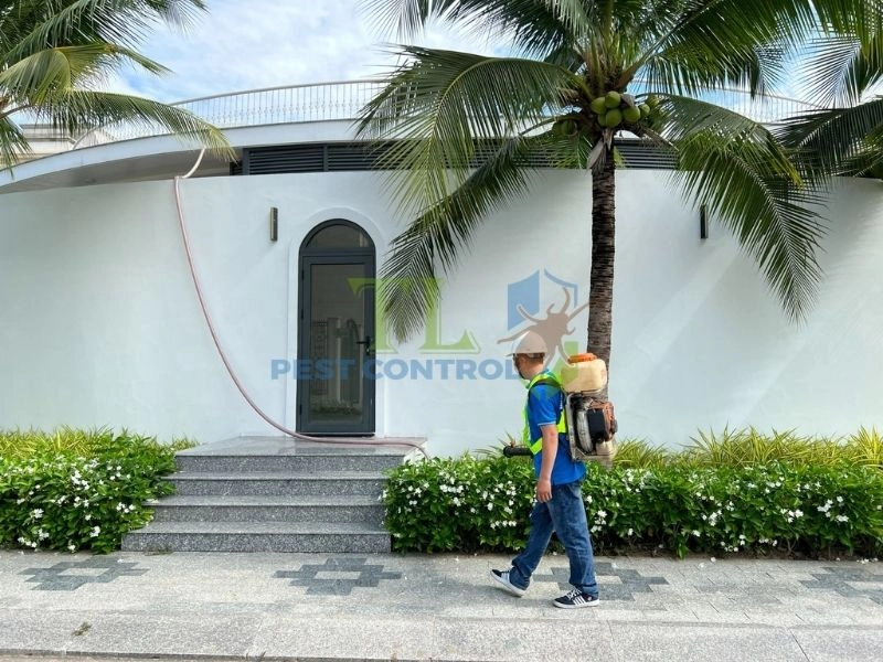 Cách phòng chống mối xâm nhập nhà ở