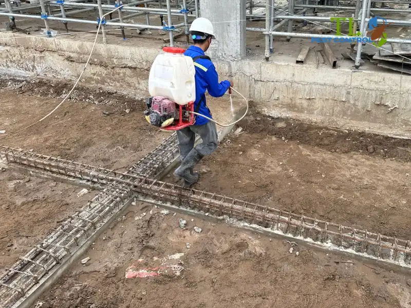 diệt mối tại tân phú