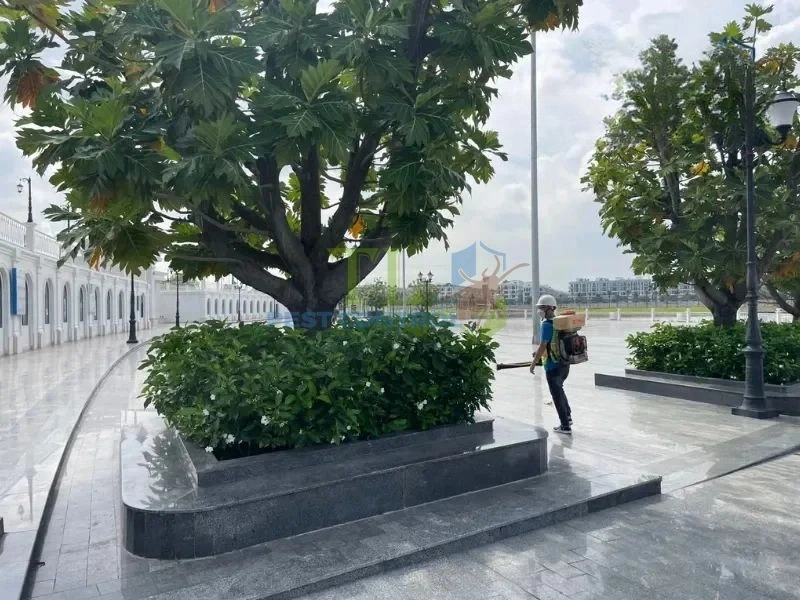 diệt mối nền nhà 