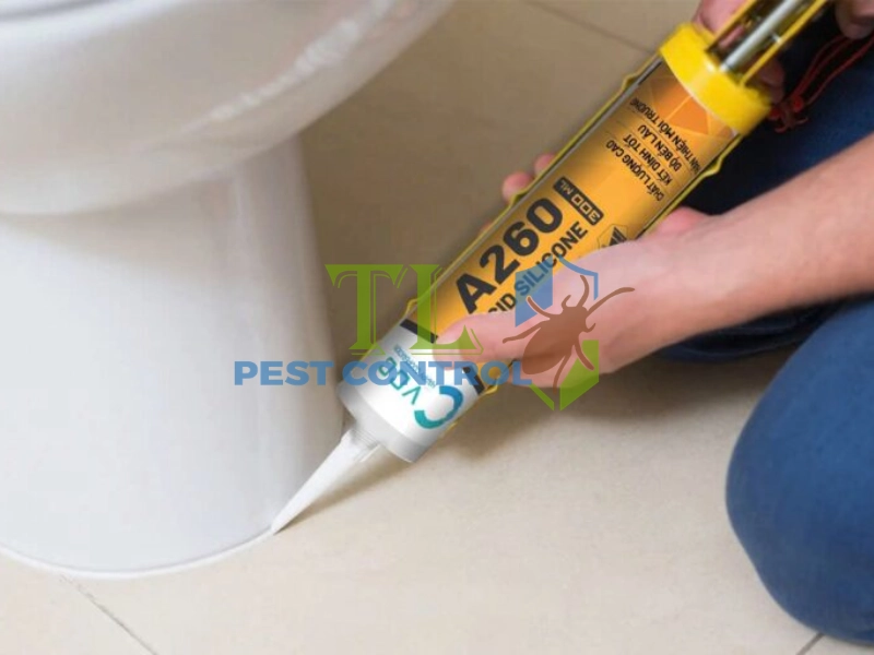 cách diệt gián đức hiệu quả