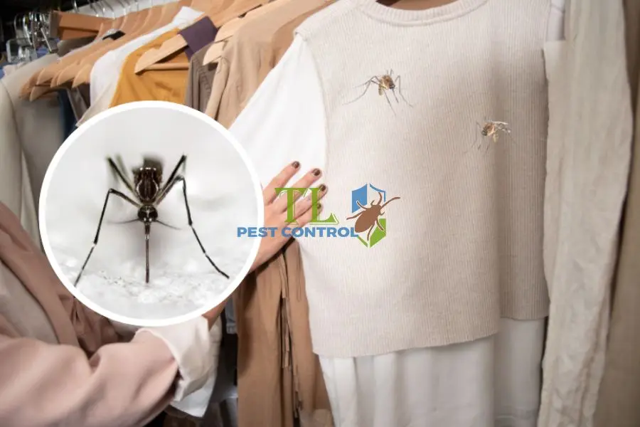 10 Cách Diệt Muỗi Trong Tủ Quần Áo Hiệu Quả, Dễ Làm
