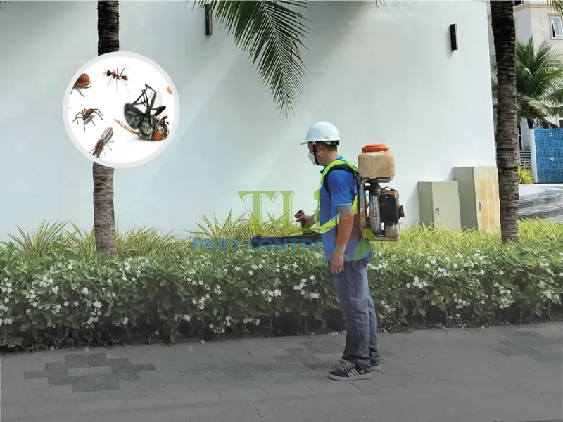 phun thuốc muỗi hà nội