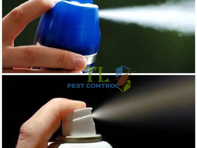 thuốc xịt kiến có độc không thuốc xịt kiến có độc không