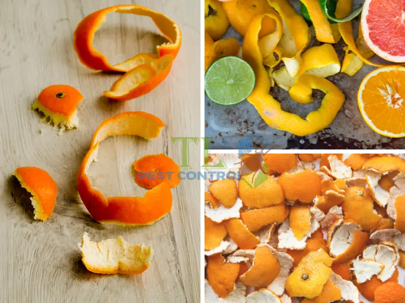 muỗi sợ mùi gì