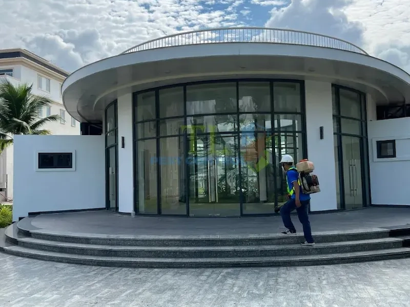 dịch vụ diệt kiến tại nhà