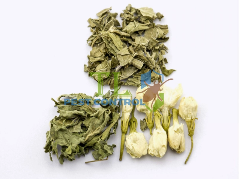 cách diệt mối trong tủ quần áo