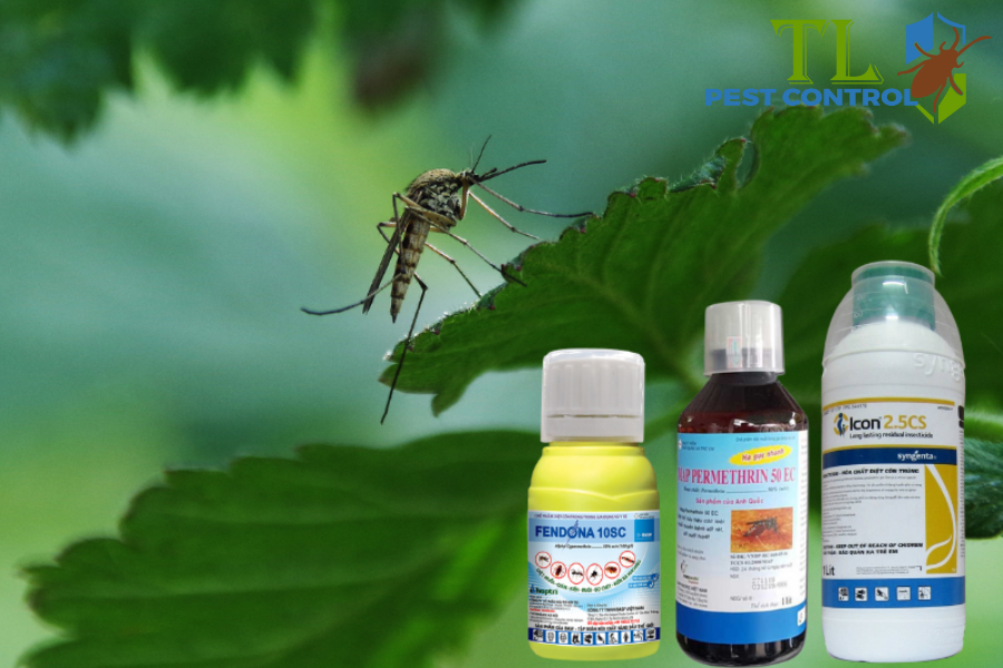 Lưu Ý Khi Phun Hóa Chất Diệt Muỗi An Toàn, Hiệu Quả