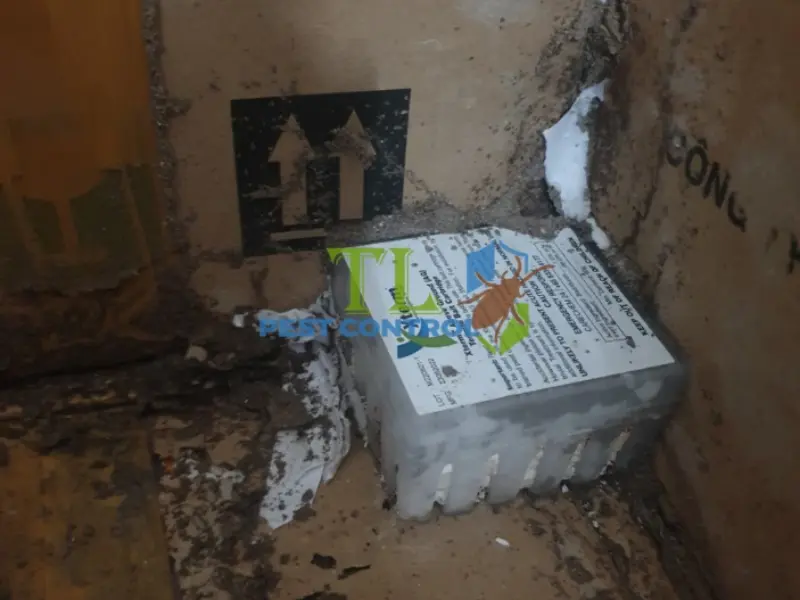 diệt mối quận 4