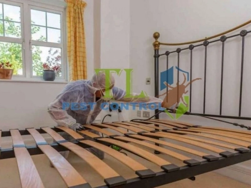 dịch vụ diệt rết