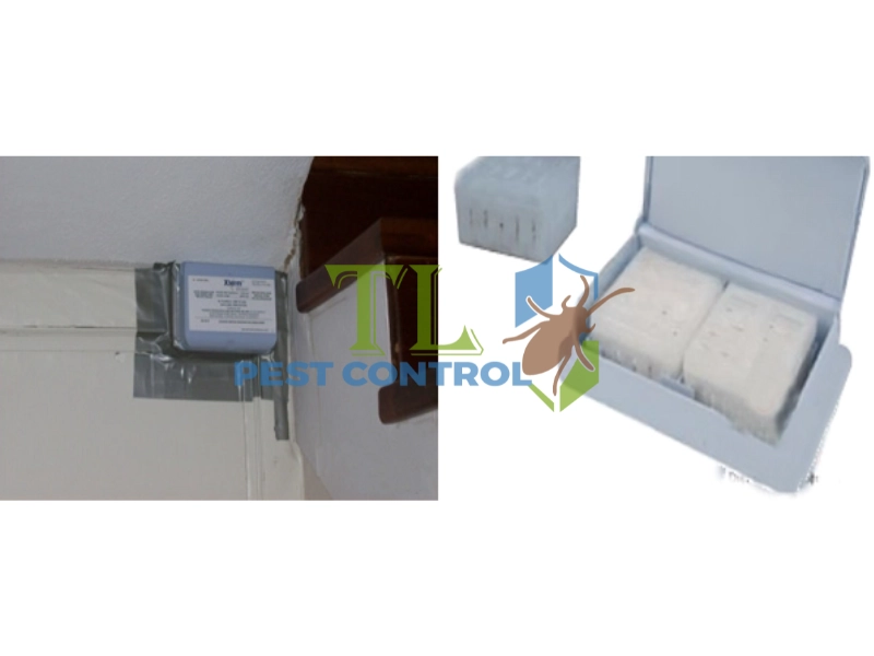 diệt mối ghe tàu