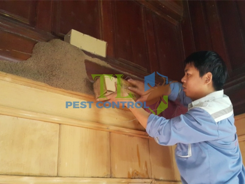 diệt mối cửa gỗ diệt mối cửa gỗ