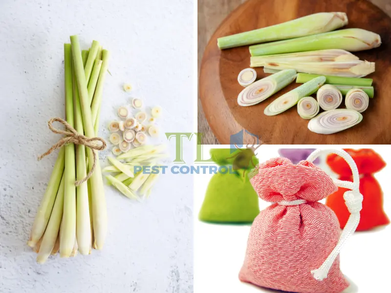 Làm túi đuổi muỗi