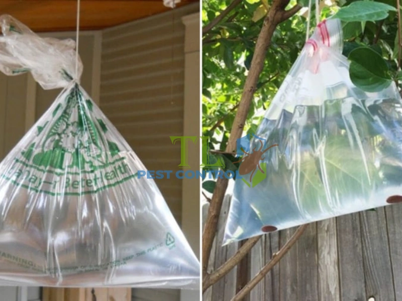 mẹo diệt ruồi trâu mẹo diệt ruồi trâu