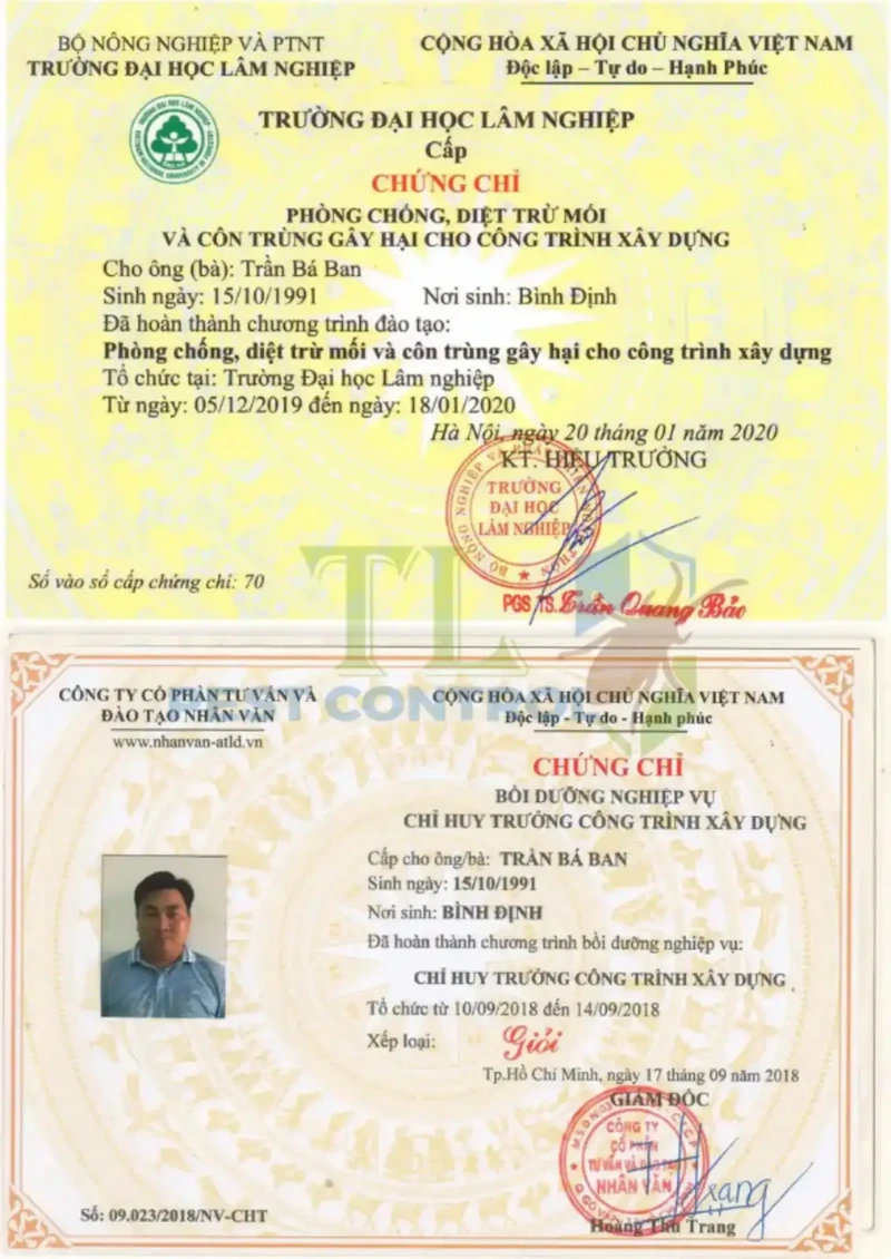 diệt mối mọt gỗ