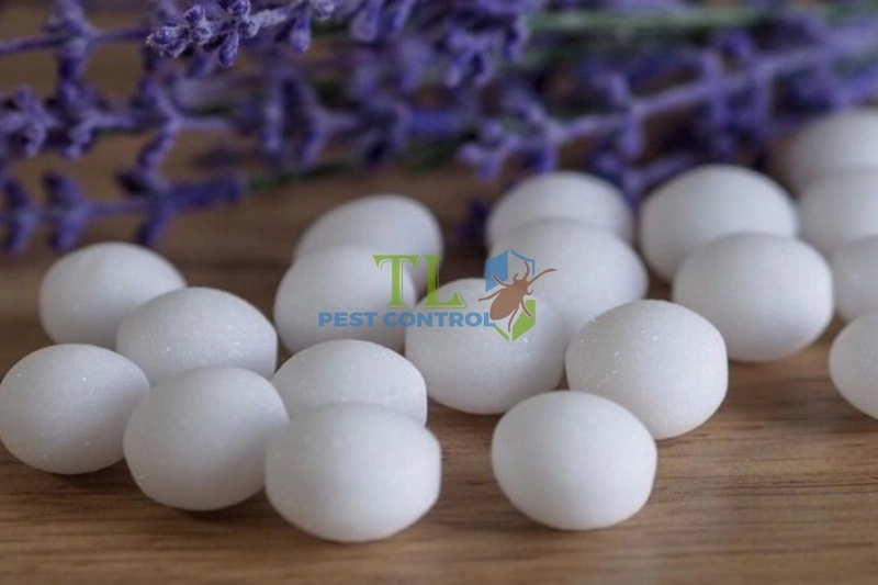 cách trị ruồi vàng trên lan