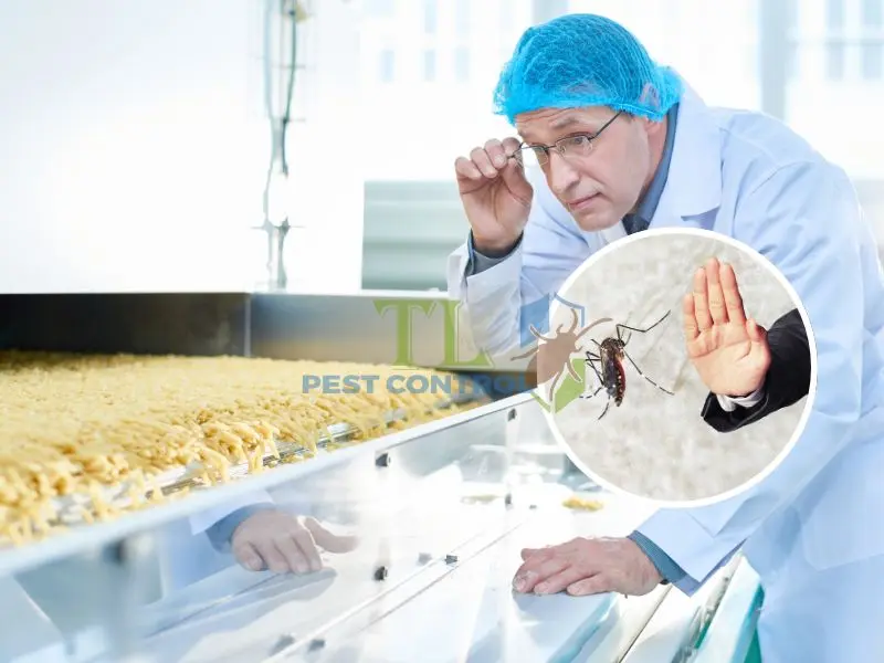 Dịch vụ kiểm soát muỗi cho nhà máy sản xuất thực phẩm