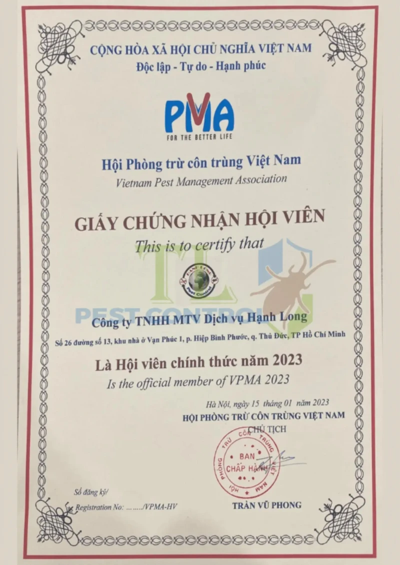 dịch vụ diệt rệp dịch vụ diệt rệp