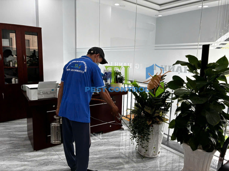 Quy trình diệt mối tận gốc tại nhà phường Bình Quới của Trần Long